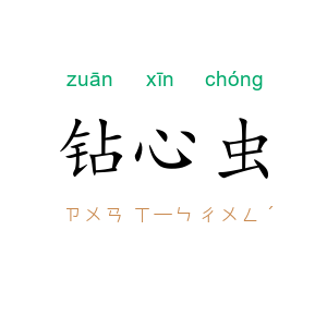 钻心虫