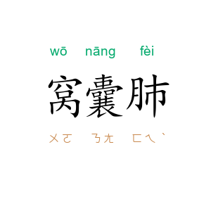 窝囊肺