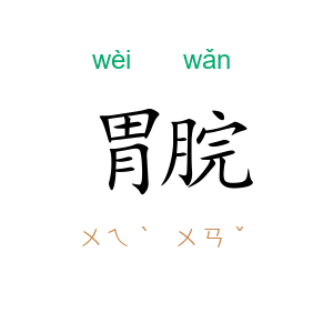 胃脘