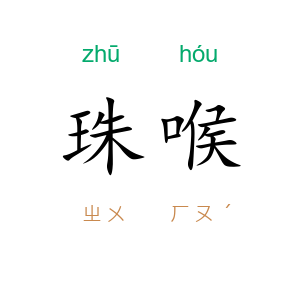 珠喉