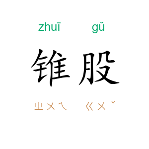 锥股