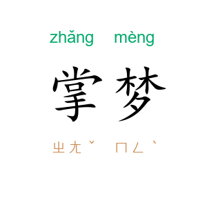 掌梦