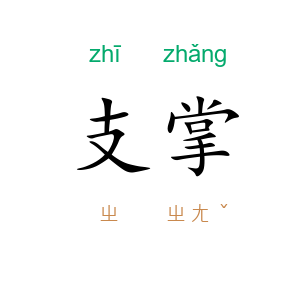 支掌