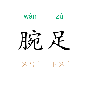 腕足