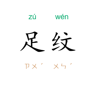 足纹