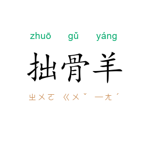 拙骨羊
