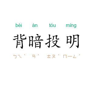 背暗投明
