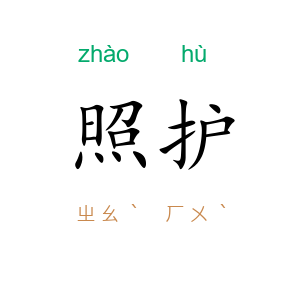 照护
