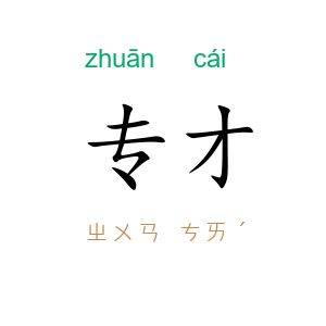 专才