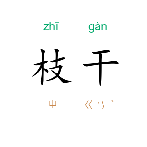 枝干