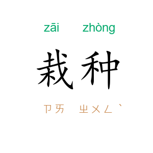 栽种