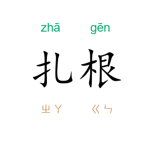 扎根