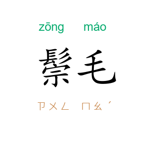 鬃毛