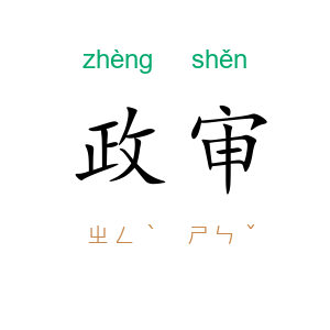 政审