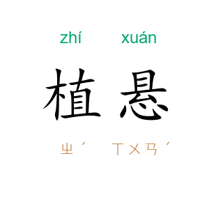 植悬