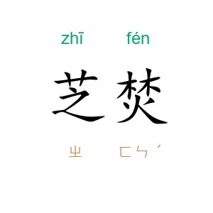 芝焚