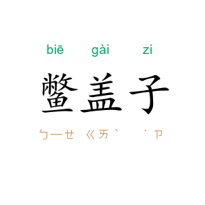 鳖盖子
