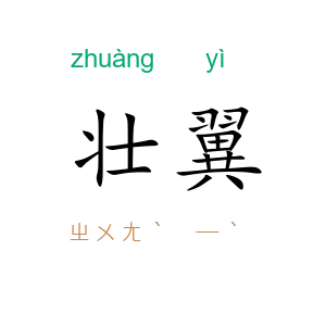 壮翼