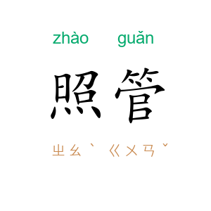 照管
