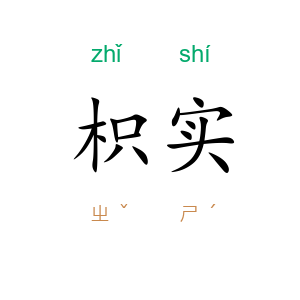 枳实