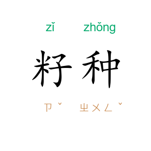籽种