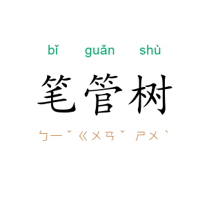 笔管树