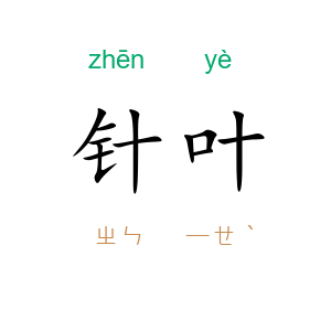 针叶