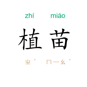 植苗