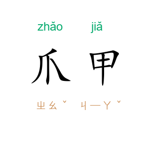 爪甲