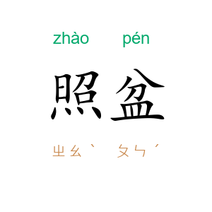 照盆