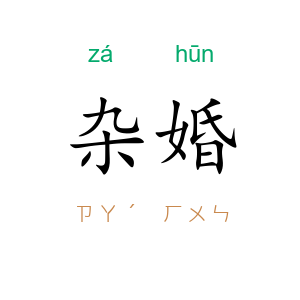 杂婚