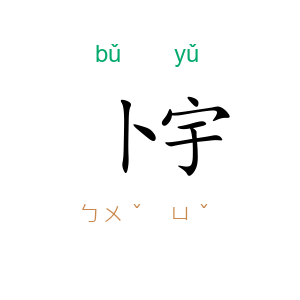 卜宇