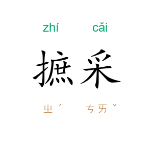 摭采
