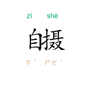自摄