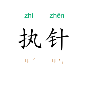 执针