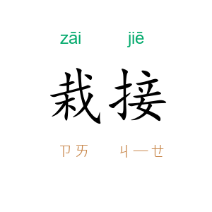 栽接
