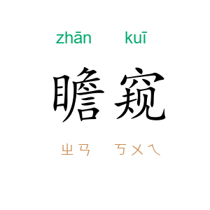 瞻窥