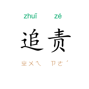 追责