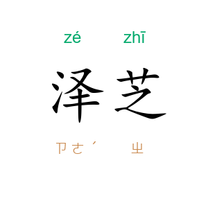 泽芝