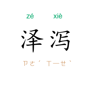 泽泻