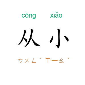 从小