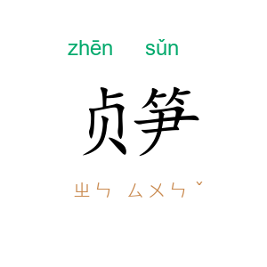 贞笋