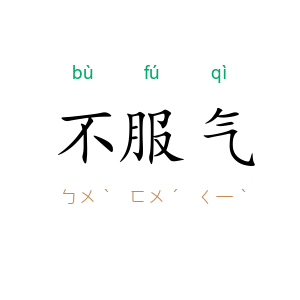 不服气