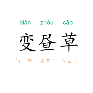 变昼草