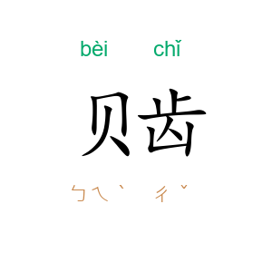 贝齿