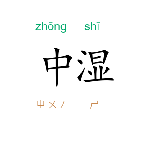 中湿
