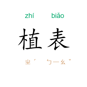 植表