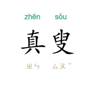 真叟