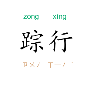 踪行