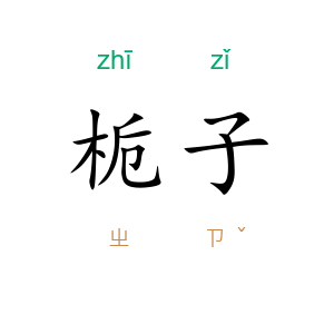 栀子